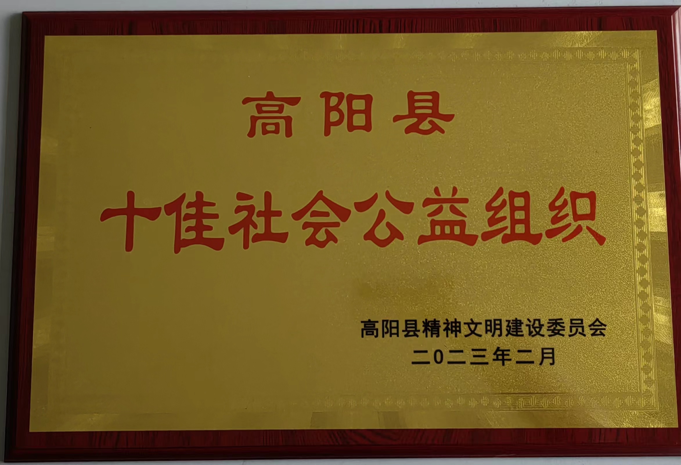 喜報(bào)！高陽縣瑞春紡織榮獲“十佳社會公益組織”稱號